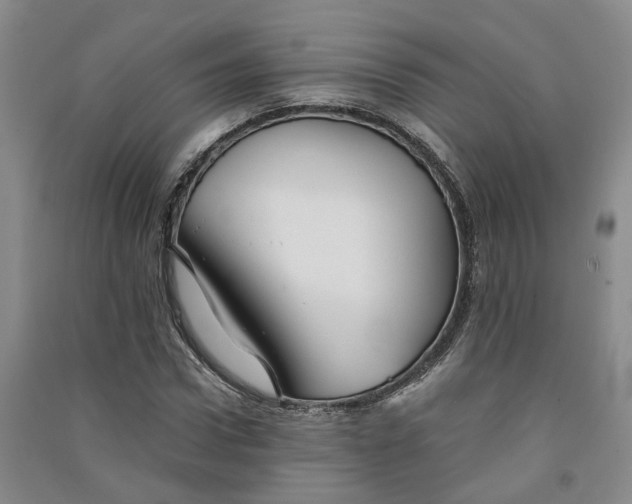 X0000091370922200708171542