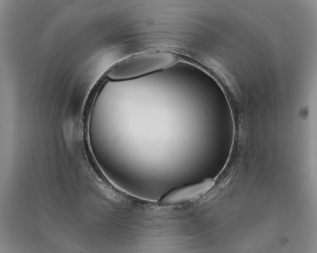 X0000091370924200708171542