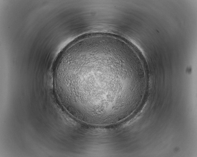 X0000091370925200708171542