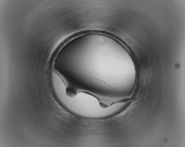 X0000091370926200708171542