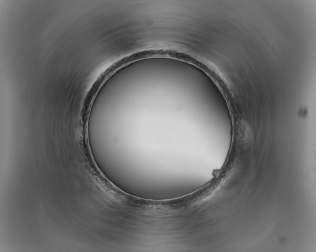 X0000091370927200708171542