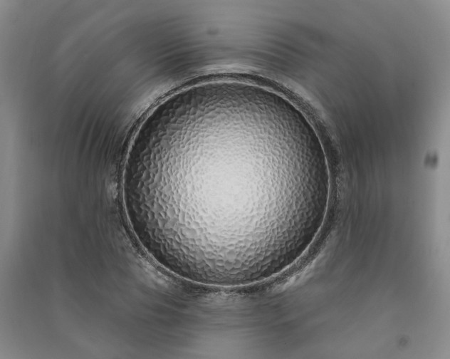 X0000091370929200708171542