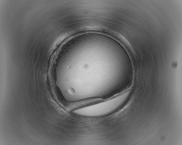 X0000091370930200708171542