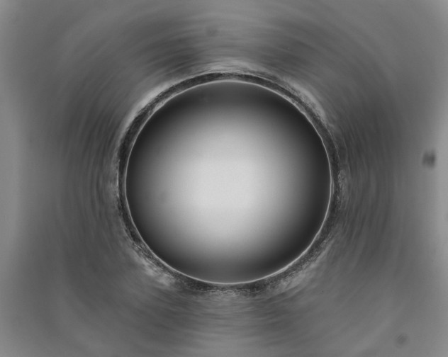 X0000091370931200708171542