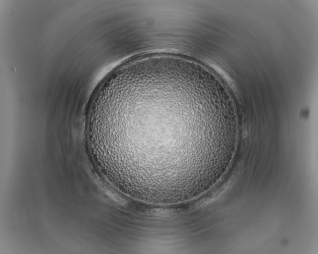 X0000091370933200708171542