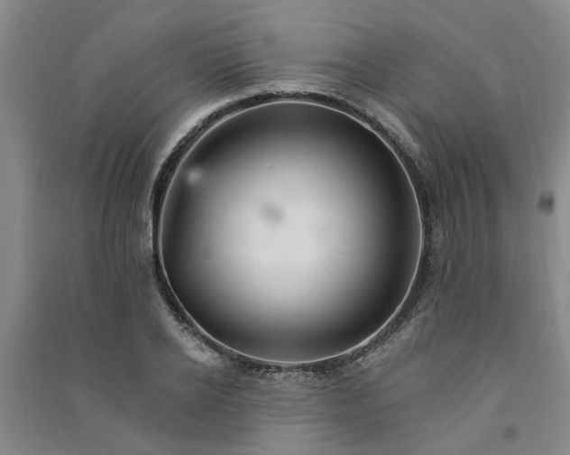 X0000091370934200708171542