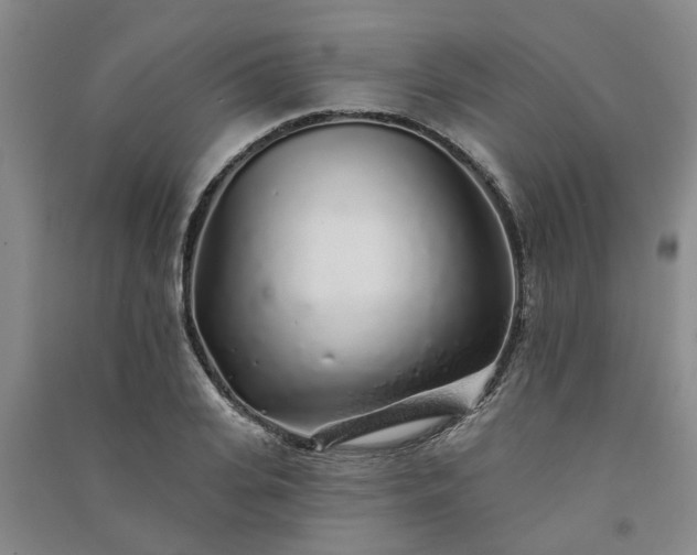 X0000091370935200708171542