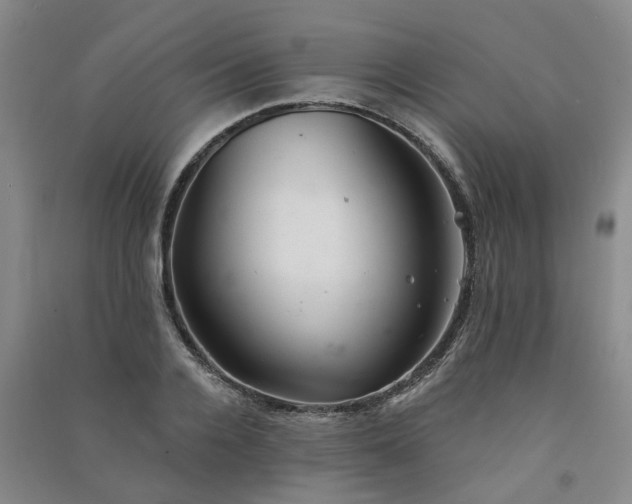 X0000091370936200708171542