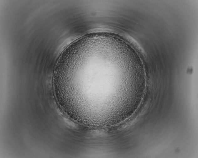 X0000091370937200708171542