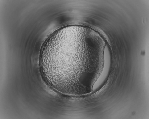 X0000091370938200708171542