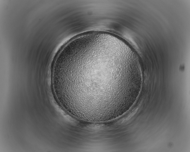 X0000091370939200708171542