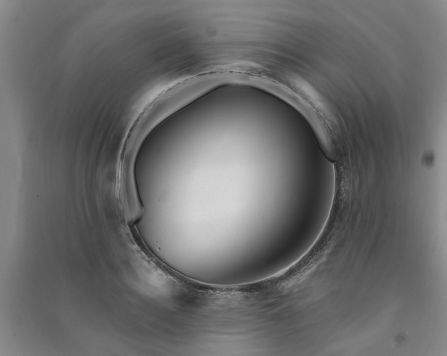 X0000091370940200708171542