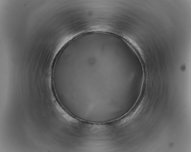 X0000091370941200708171542