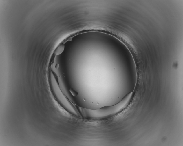 X0000091370942200708171542