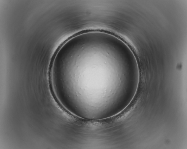 X0000091370943200708171542