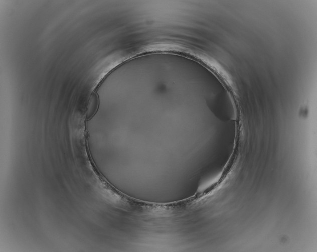 X0000091370945200708171542