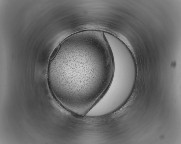 X0000091370946200708171542