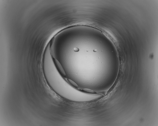 X0000091370948200708171542