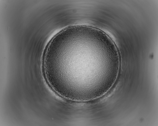 X0000091370949200708171542