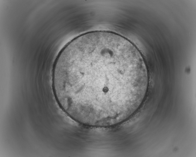 X0000091370950200708171542