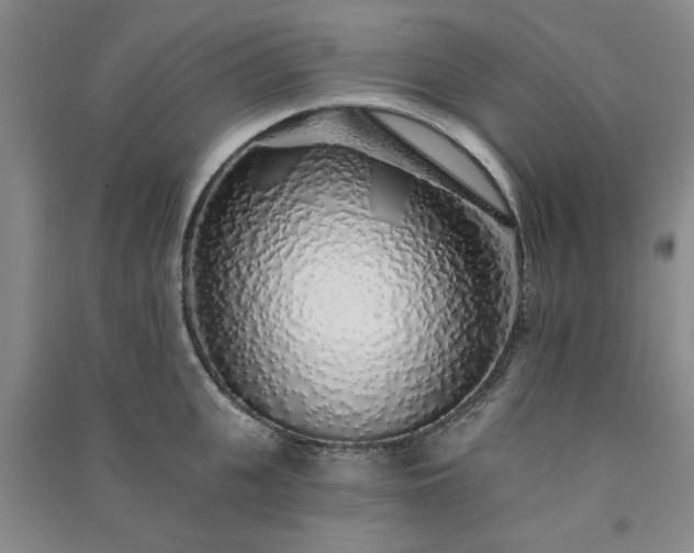 X0000091370951200708171542