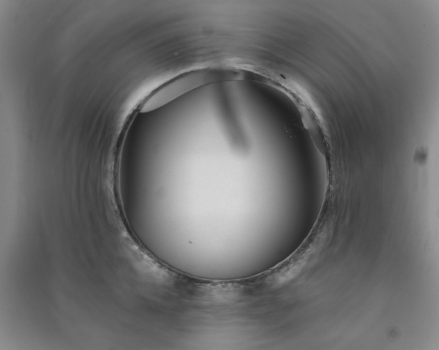 X0000091370952200708171542