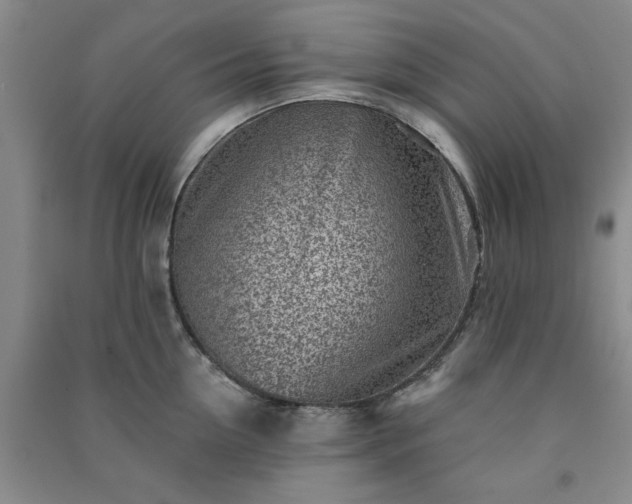 X0000091370954200708171542