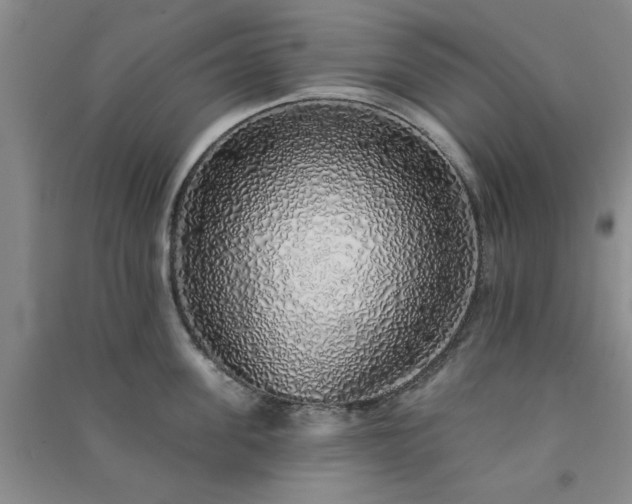 X0000091370955200708171542