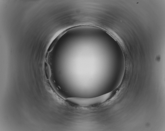 X0000091370956200708171542