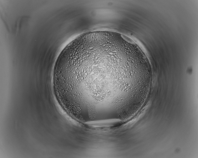 X0000091370957200708171542