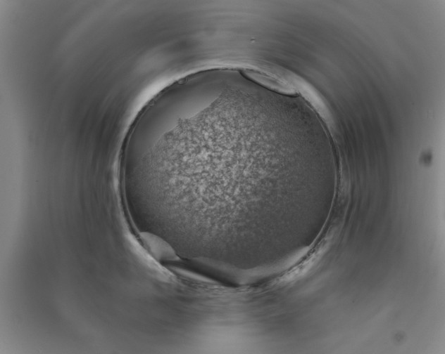 X0000091370958200708171542