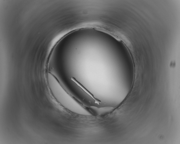 X0000091370960200708171542