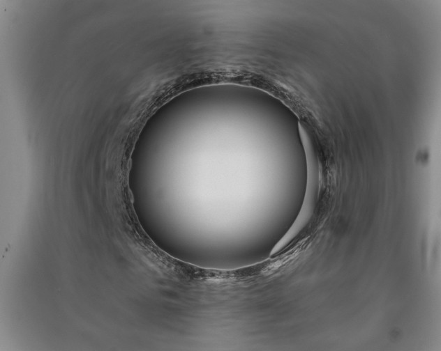 X0000091370961200708171541