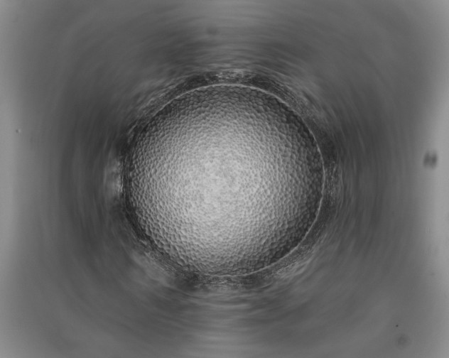 X0000091370962200708171541