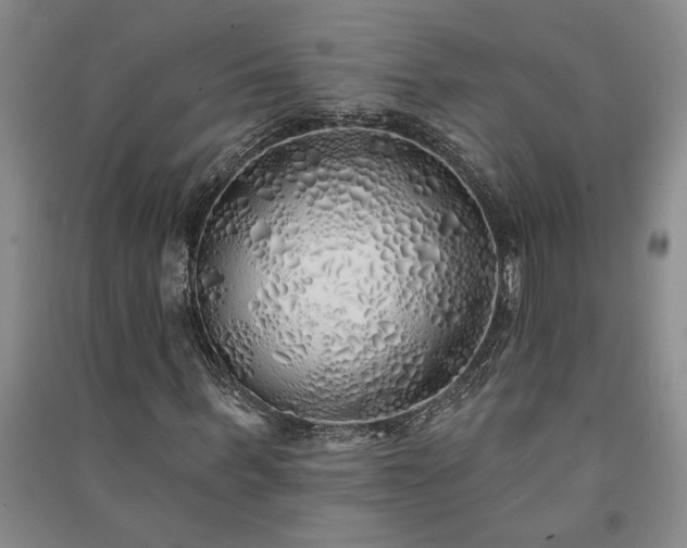 X0000091370963200708171541