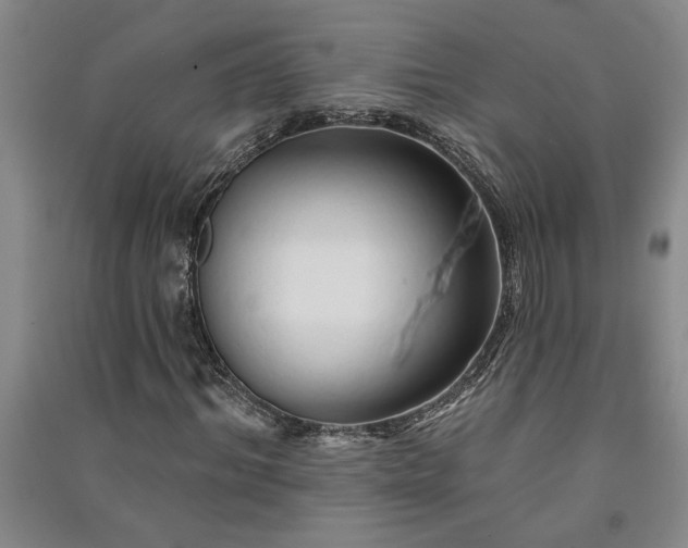 X0000091370964200708171541