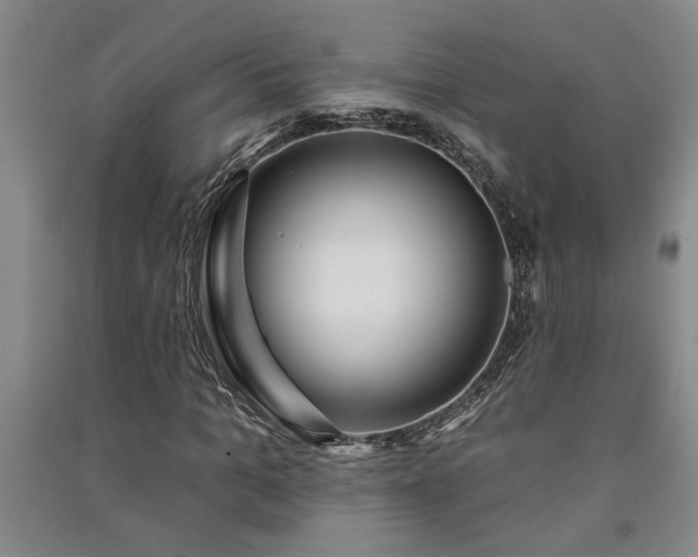 X0000091370965200708171541