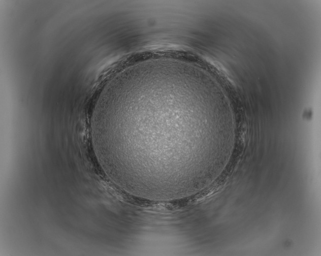 X0000091370966200708171541