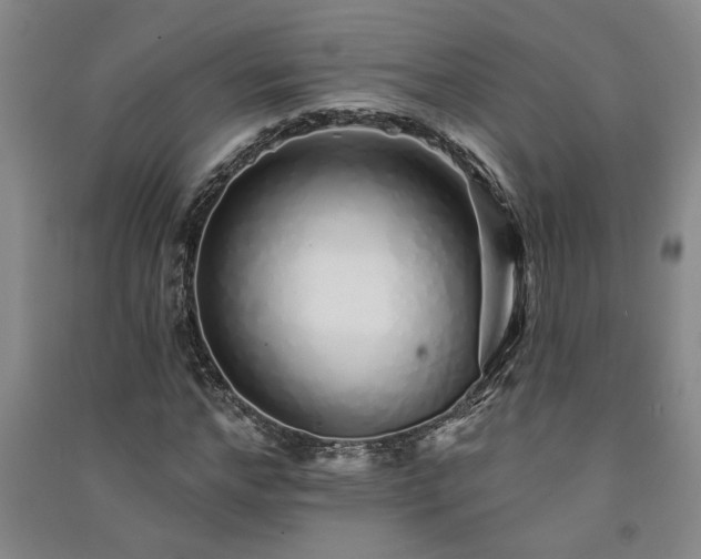 X0000091370968200708171541