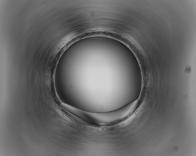 X0000091370969200708171541