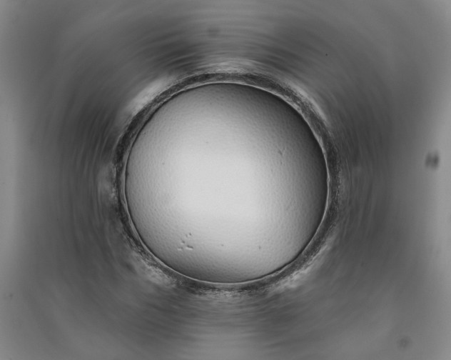 X0000091370970200708171541