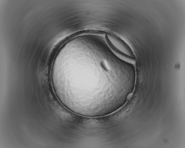 X0000091370971200708171541