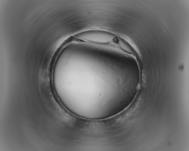 X0000091370972200708171541