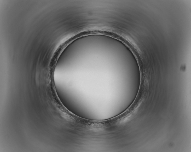 X0000091370974200708171541