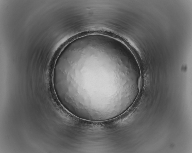 X0000091370975200708171541