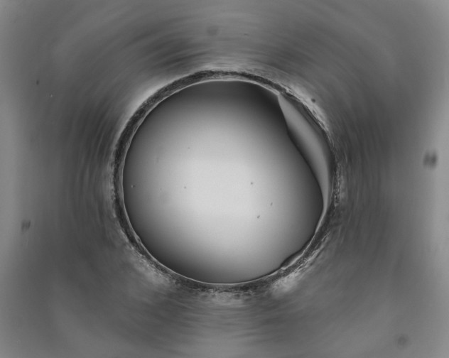 X0000091370976200708171541