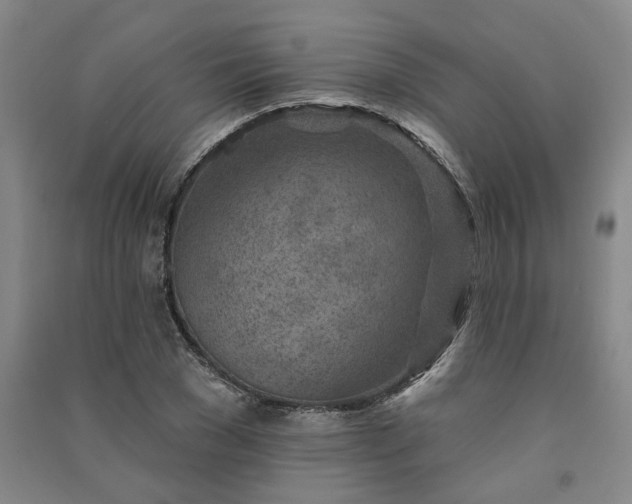 X0000091370977200708171541