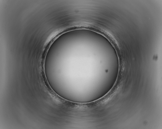 X0000091370978200708171541