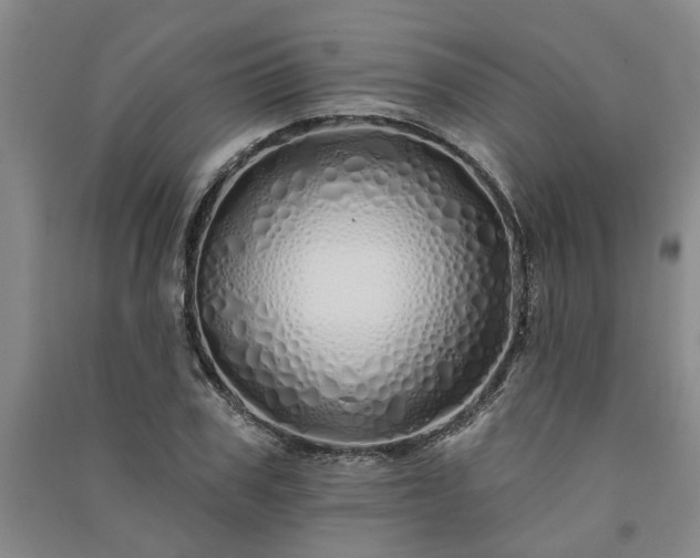 X0000091370979200708171541