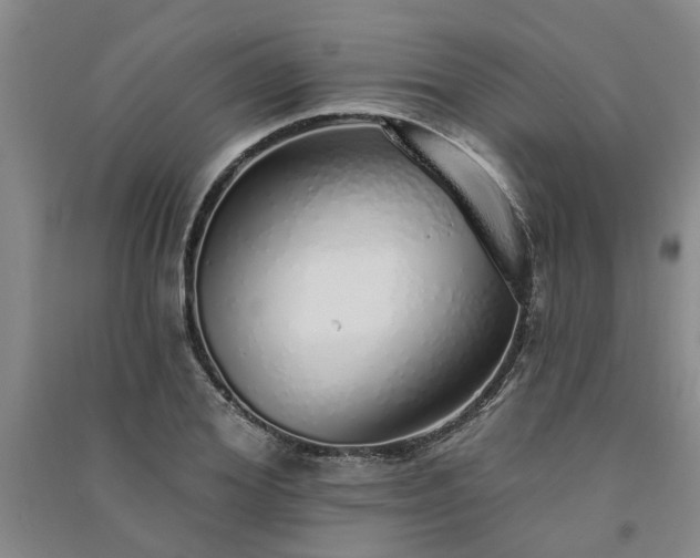 X0000091370980200708171541